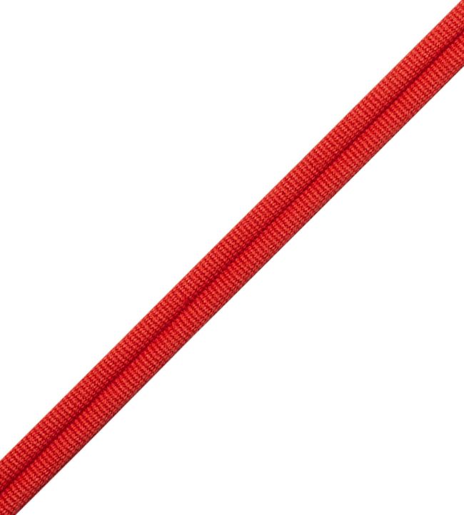 Julienne Double Welting Trimming by Samuel & Sons Tulip