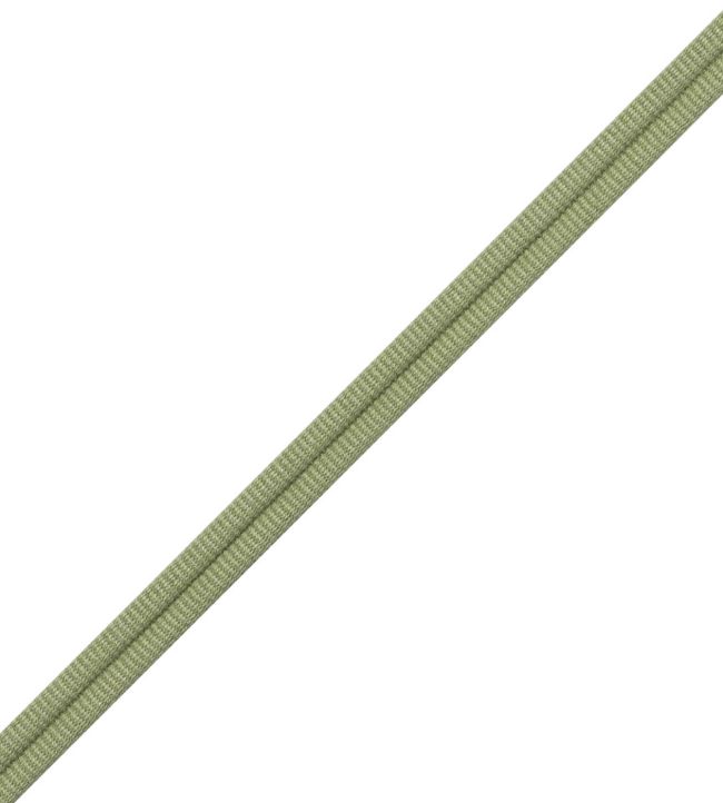 Julienne Double Welting Trimming by Samuel & Sons Willow