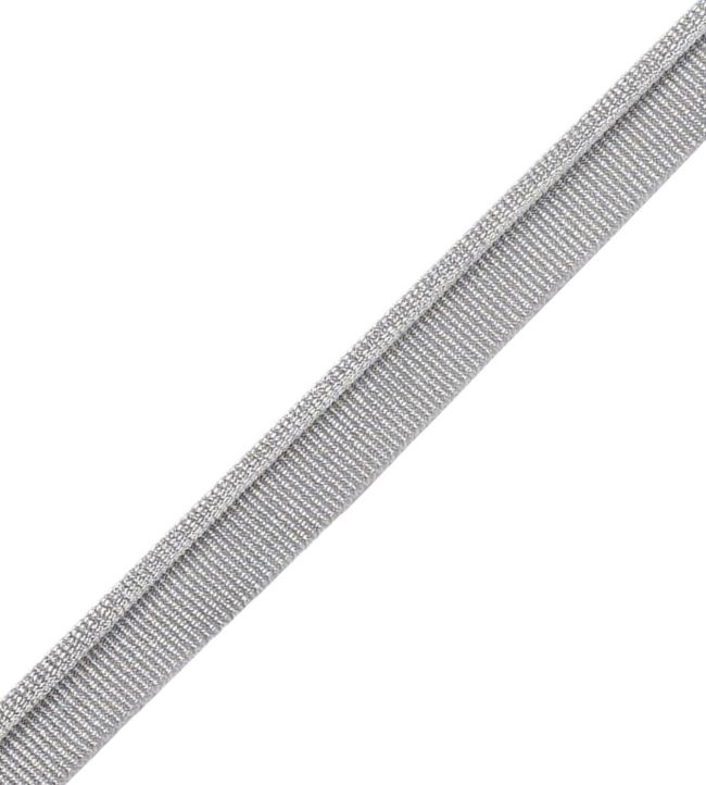 Julienne Metallic Piping Trimming by Samuel & Sons Silver Leaf