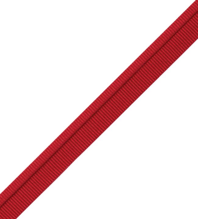 Julienne Piping Trimming by Samuel & Sons Crimson