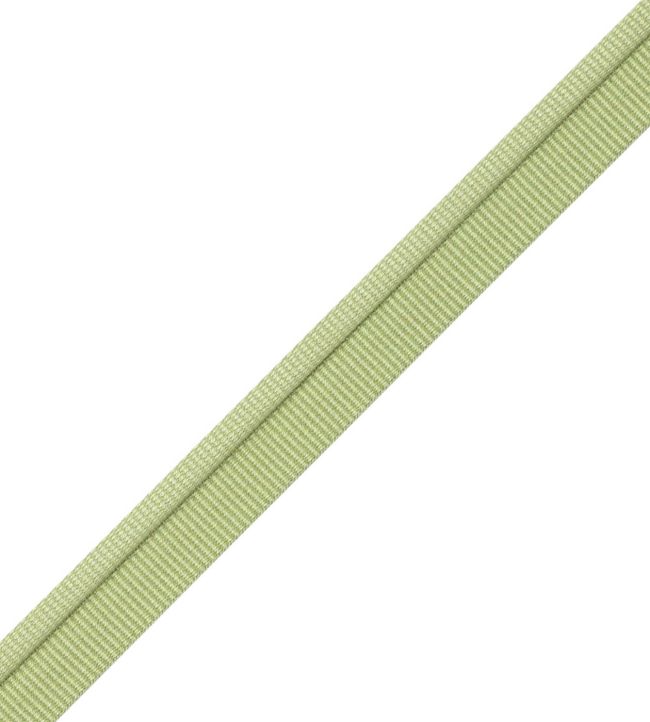 Julienne Piping Trimming by Samuel & Sons Honeydew