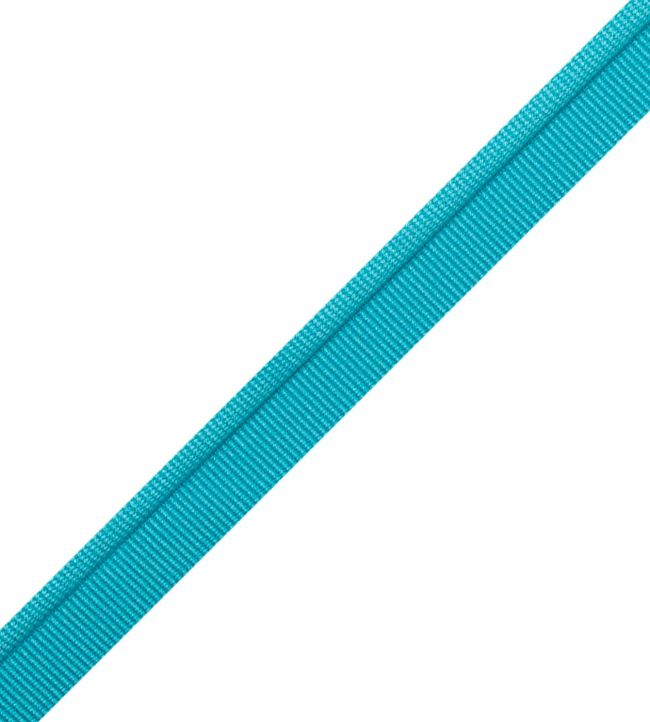 Julienne Piping Trimming by Samuel & Sons Pool
