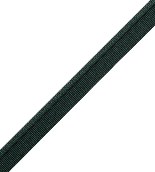 Julienne Piping Trimming by Samuel & Sons Viridian