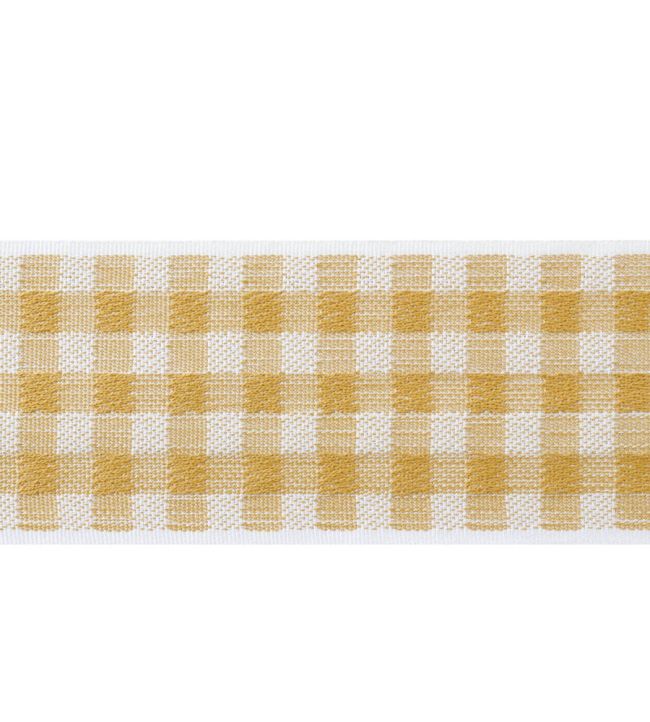 June Tape Trimming by Thibaut Soft Gold