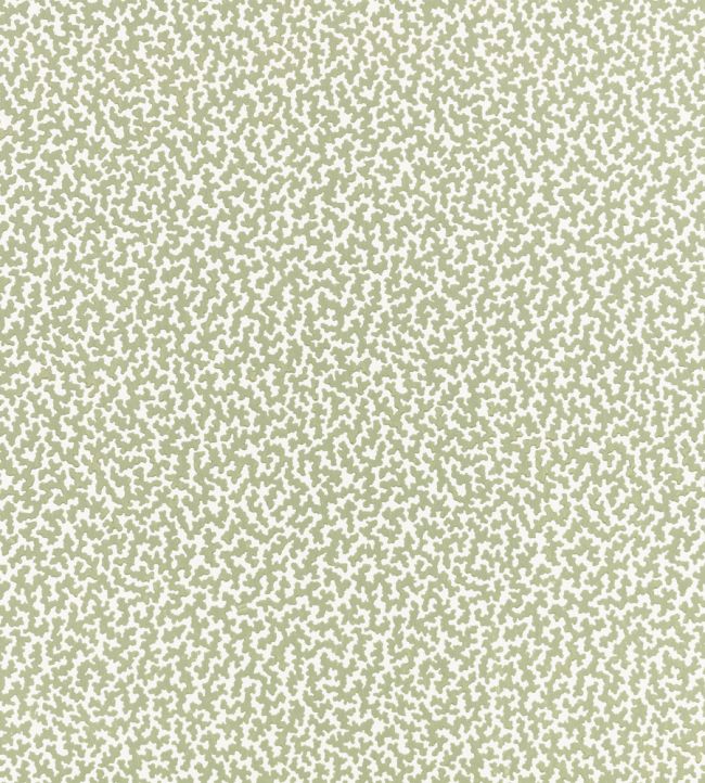 Junie Wallpaper by Romo Aloe