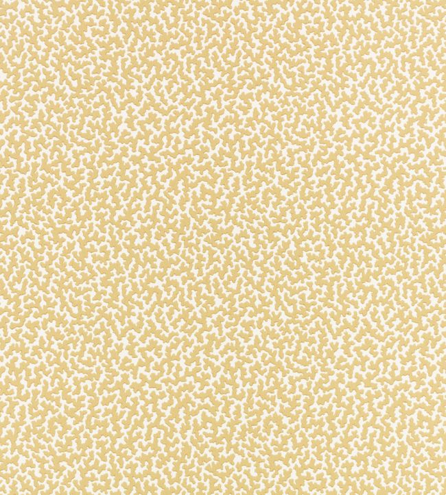 Junie Wallpaper by Romo Hay
