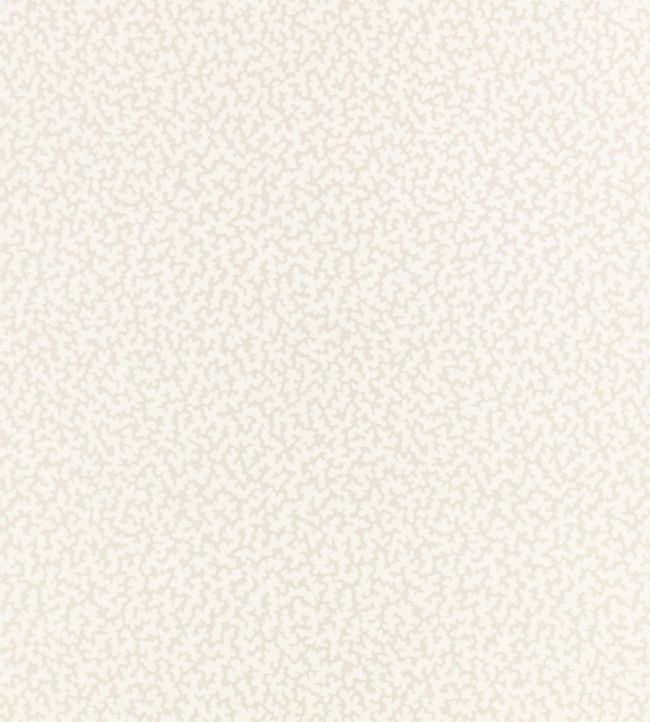 Junie Wallpaper by Romo Merino