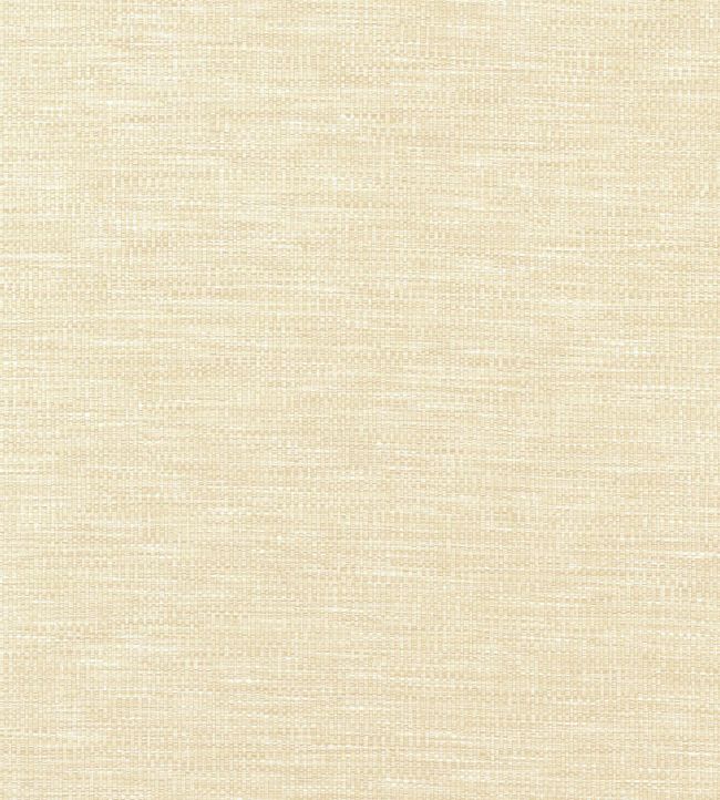 Kaden Fabric by Thibaut Parchment