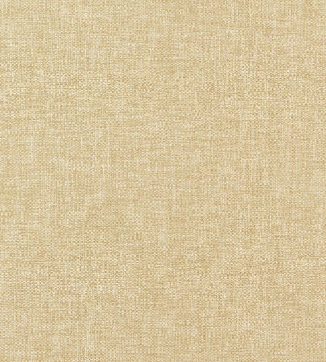 Kaden Fabric by Thibaut Straw