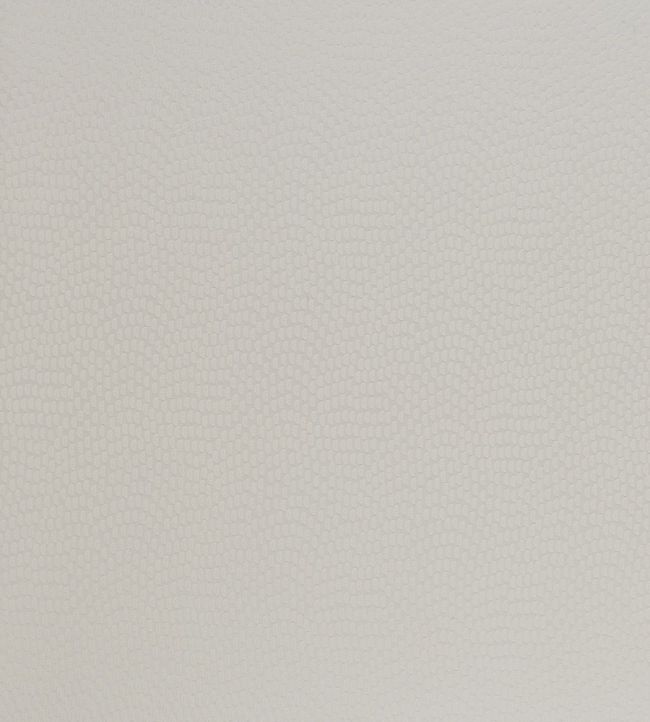 Sudetes Fabric by Kai Oyster