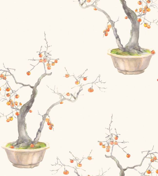 Kaki Persimmon Wallpaper by Cole & Son Ivory & Bergamot