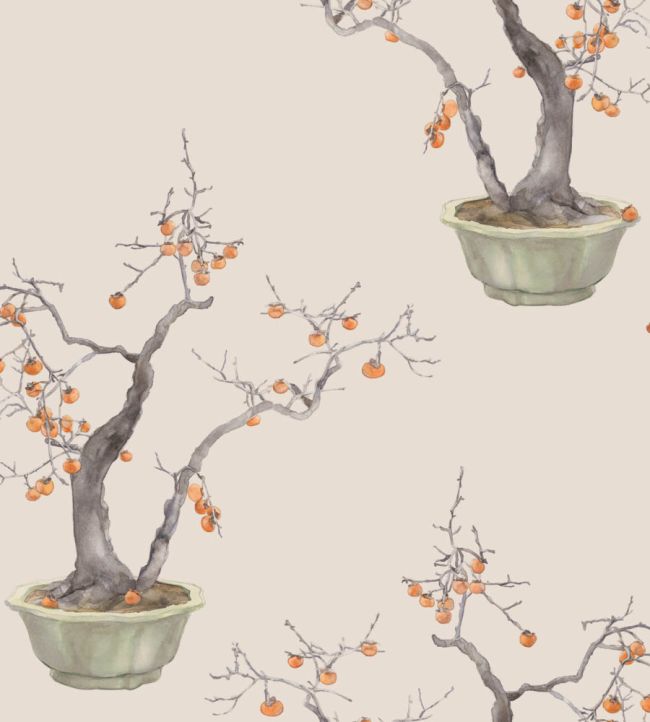 Kaki Persimmon Wallpaper by Cole & Son Violet Patina