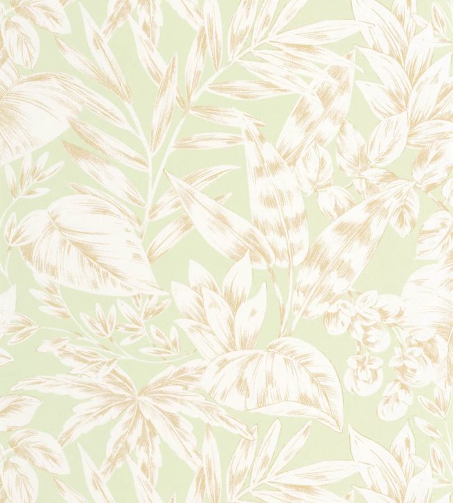 Kalea Wallpaper by Caselio Vert amande