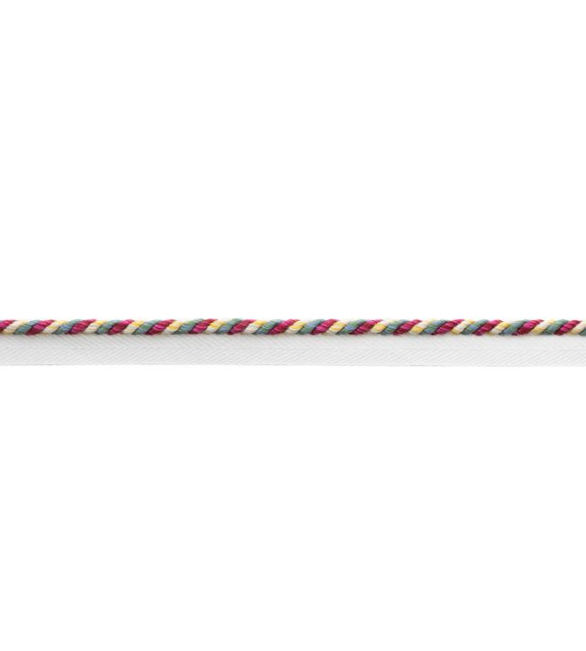 Kaleidoscope Cord With Tape Trimming by Samuel & Sons Garland