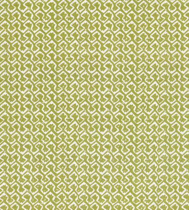 Kalpa Fabric by Clarke & Clarke Apple