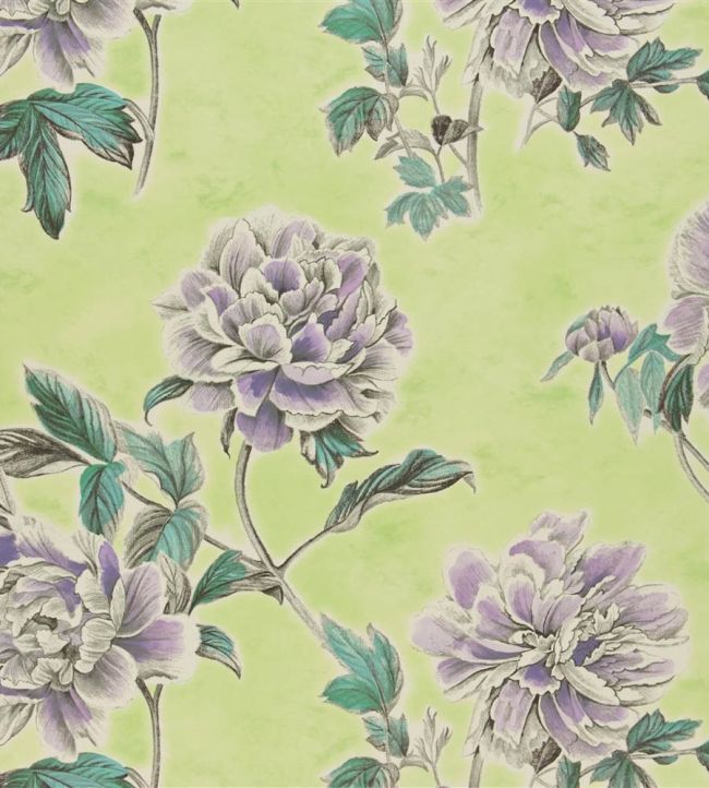 Kaori Fabric by Designers Guild Apple