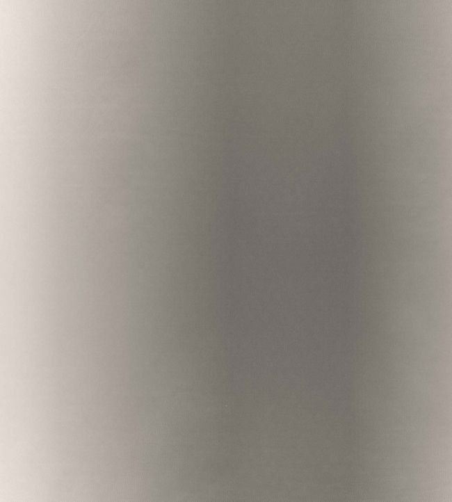 Kasian Gradient Fabric by Villa Nova Lead
