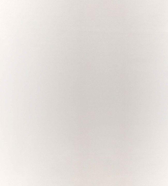 Kasian Gradient Fabric by Villa Nova Silver