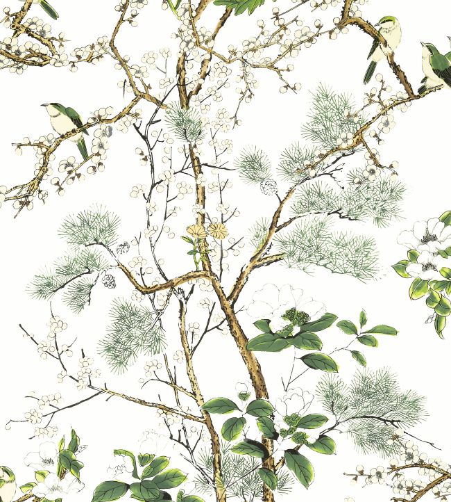 Katsura Wallpaper by Thibaut Green and White