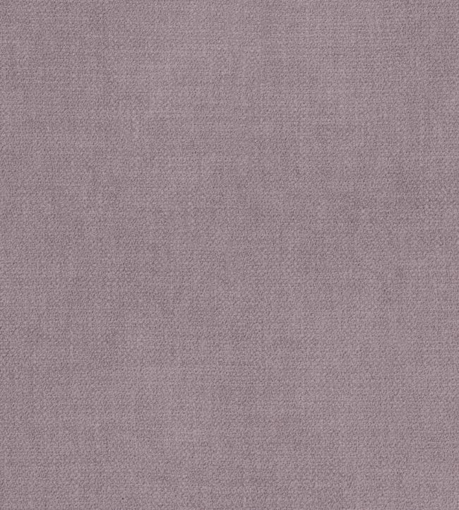 Kauri Fabric by Camengo Vigne