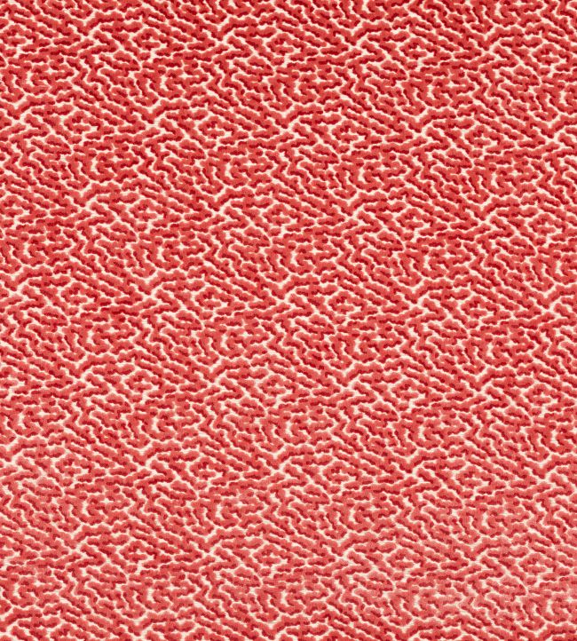 Kemble Fabric by Colefax and Fowler Coral