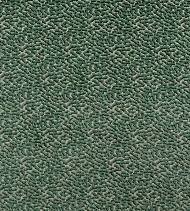 Kemble Fabric by Colefax and Fowler Forest