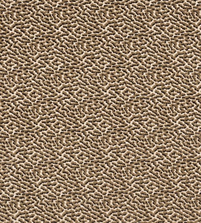 Kemble Fabric by Colefax and Fowler Taupe