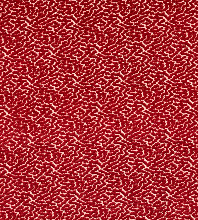 Kemble Fabric by Colefax and Fowler Tomato