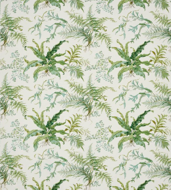 Kendal Fabric by Colefax and Fowler Leaf Green