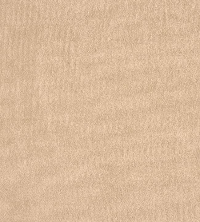 Kensington Fabric by Prestigious Textiles Calico
