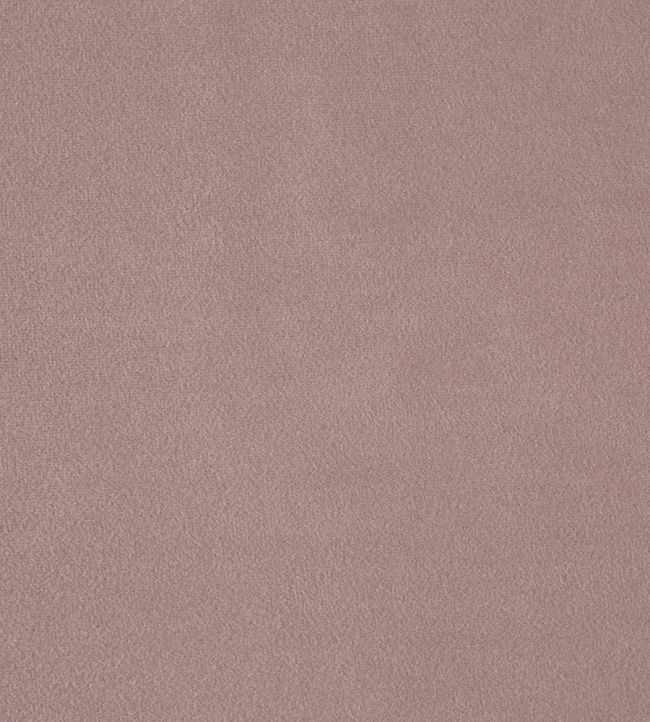Kensington Fabric by Prestigious Textiles Lavender