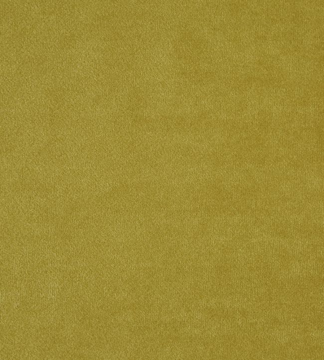 Kensington Fabric by Prestigious Textiles Olive