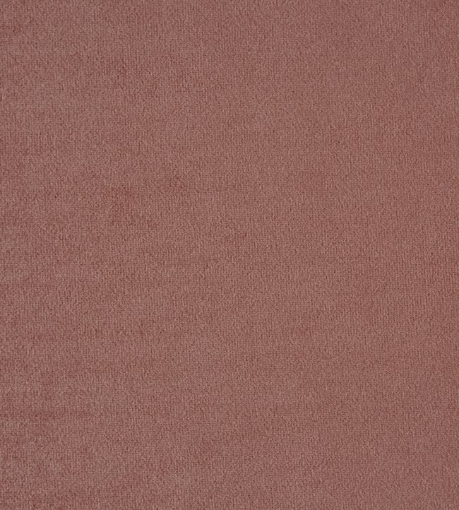 Kensington Fabric by Prestigious Textiles Rose