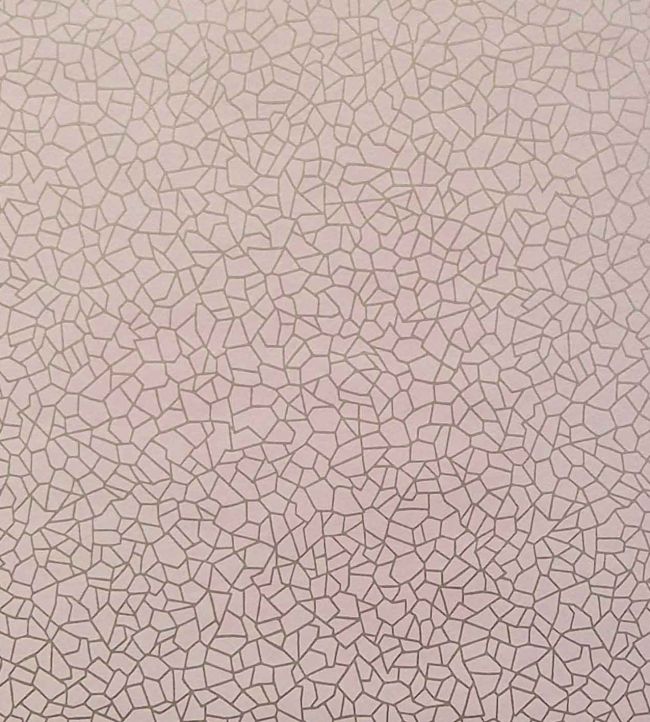 Kew Wallpaper by 1838 Wallcoverings Pink