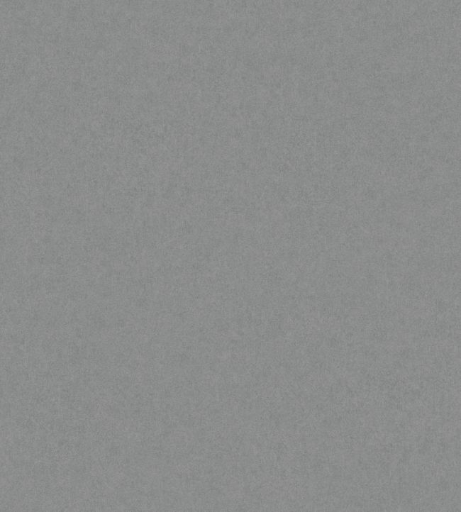 Kim Wallpaper by Borastapeter Charcoal