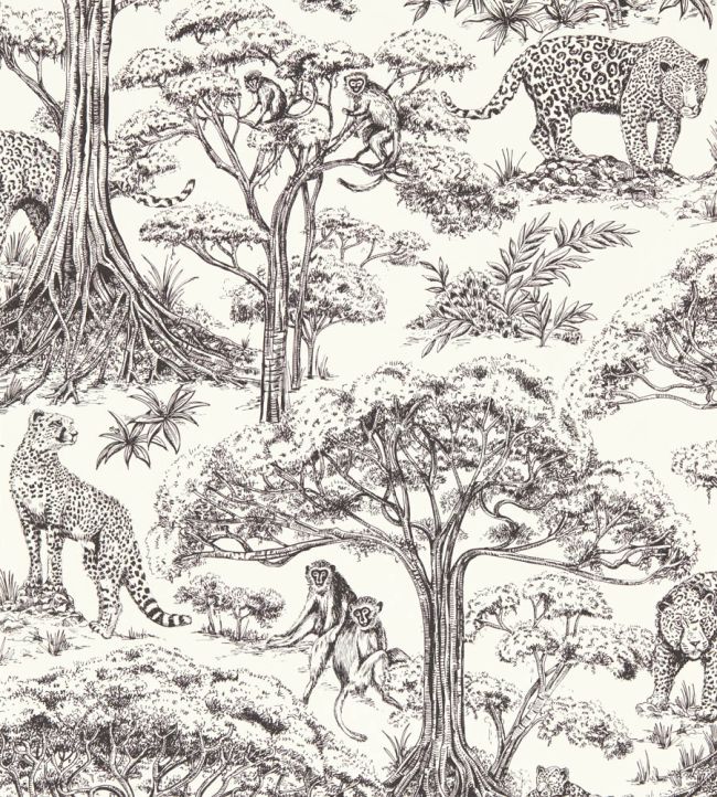 Kisumu Wallpaper by Clarke & Clarke Noir
