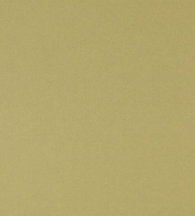 Kits Linen Fabric by GP & J Baker Grass