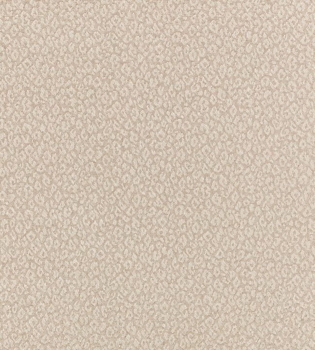 Kitty Fabric by Romo Briosca