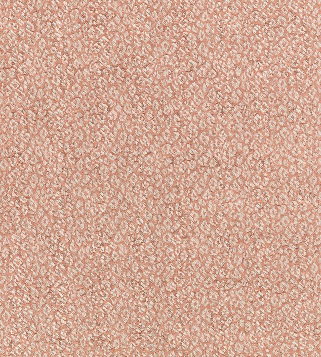 Kitty Fabric by Romo Powder Room