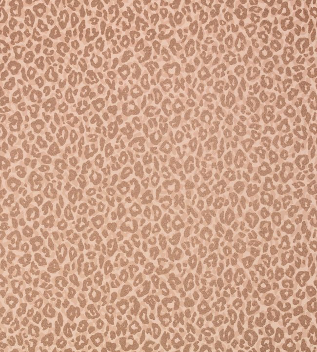 Kitty Wallpaper by Romo Powder Room