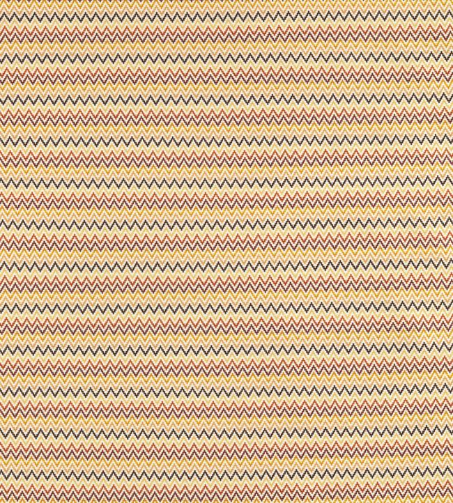 Klaudia Outdoor Fabric by Clarke & Clarke Russet