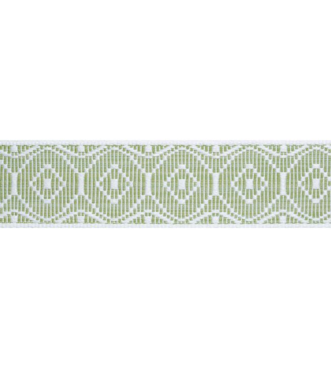 Knox Tape Trimming by Thibaut Leaf