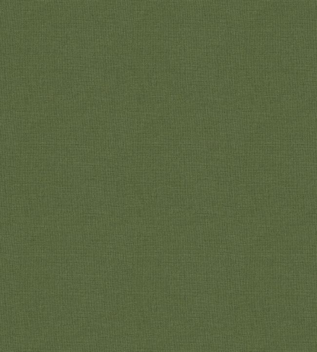 Koki Fabric by Warwick Kiwi