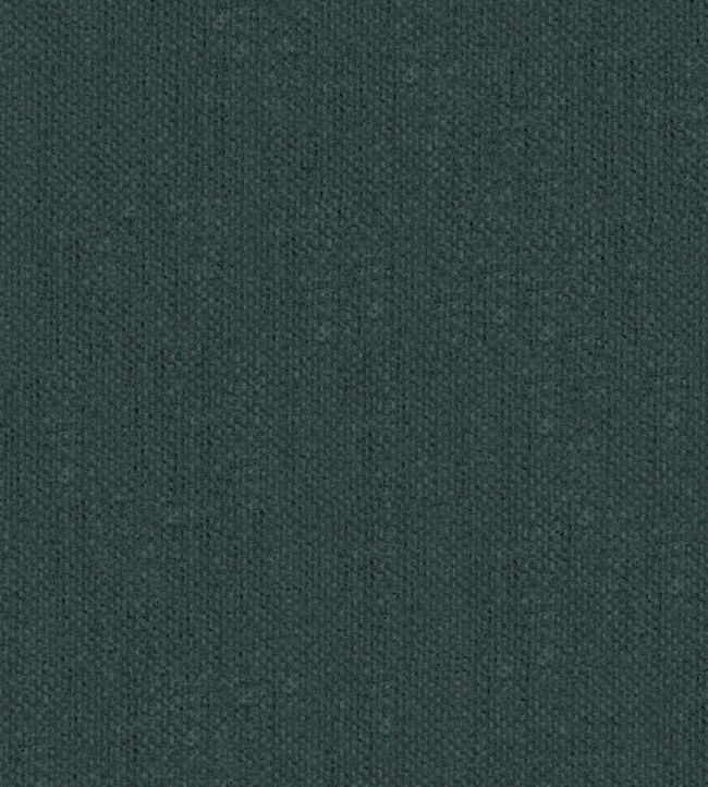 Krayola Fabric by Warwick Amazon