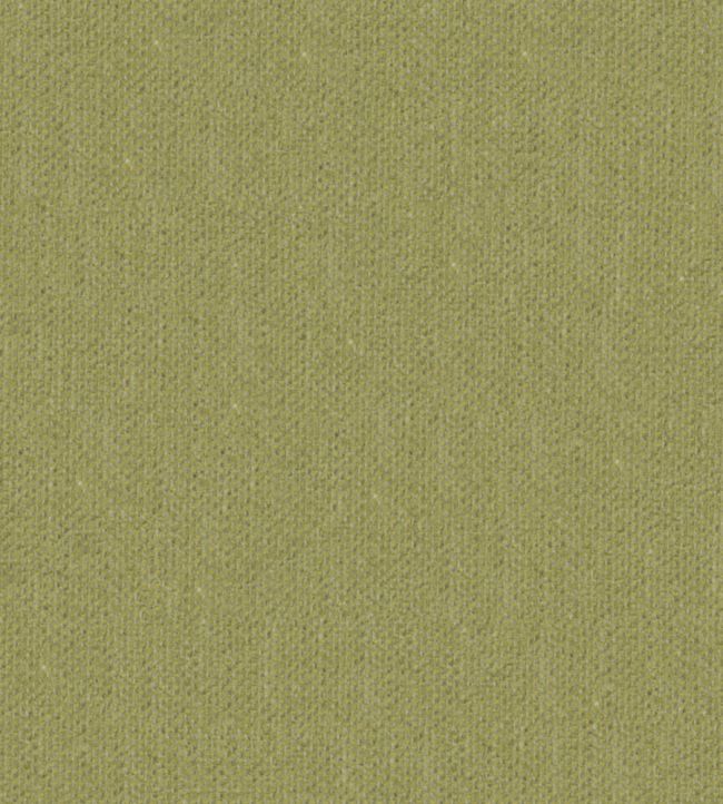 Krayola Fabric by Warwick Apple