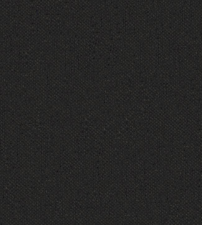 Krayola Fabric by Warwick Charcoal