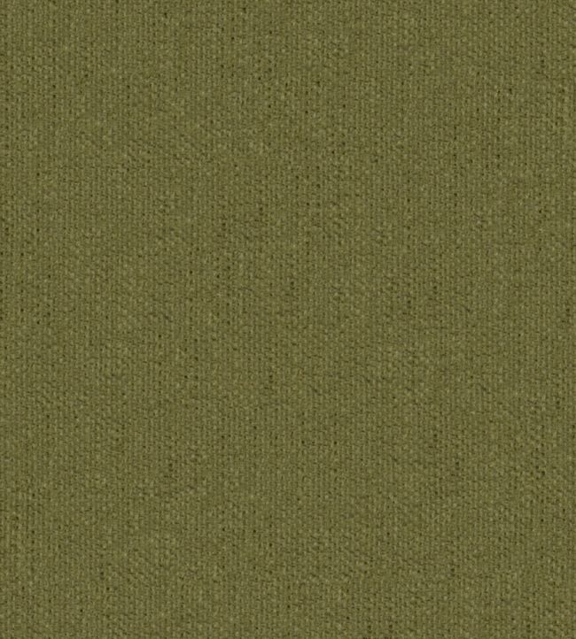 Krayola Fabric by Warwick Citrus