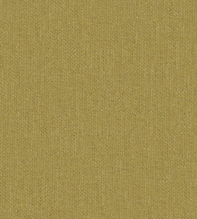 Krayola Fabric by Warwick Cornsilk