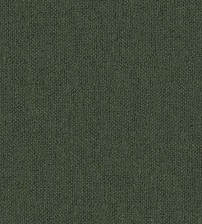 Krayola Fabric by Warwick Fern