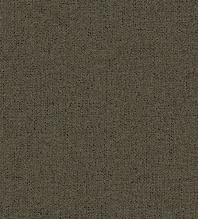 Krayola Fabric by Warwick Khaki